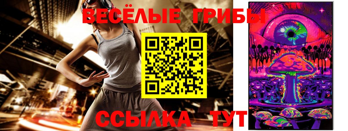 Галлюциногенные грибы Psilocybine cubensis Минеральные Воды